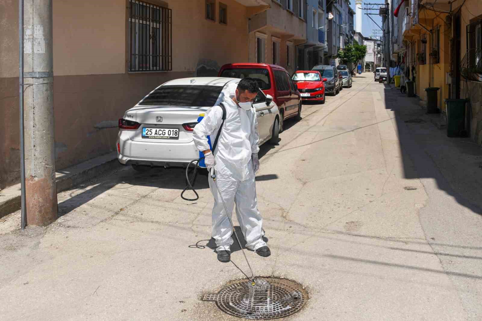 Osmangazi Belediyesi’nden haşereye karşı anında müdahale