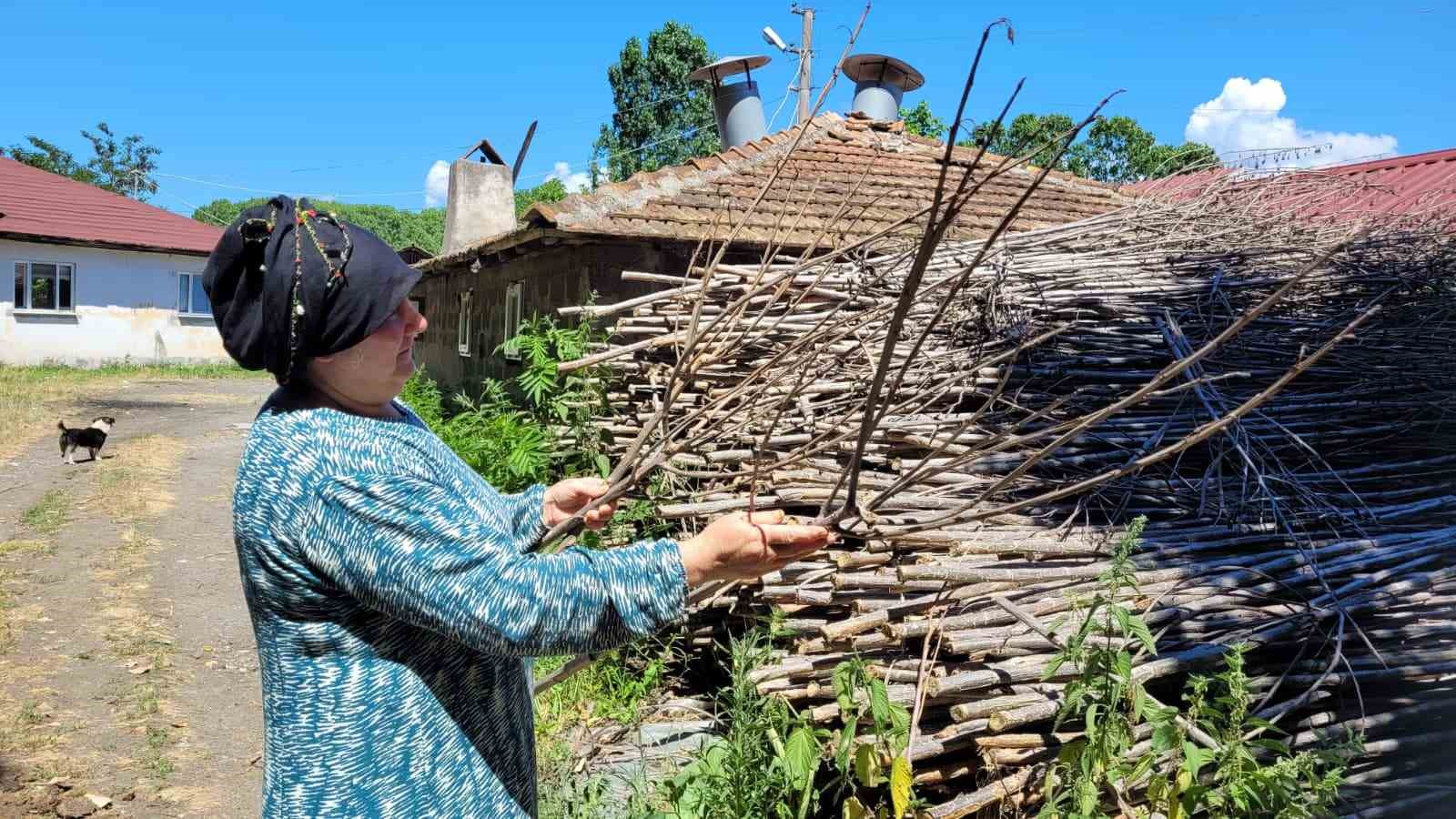 "Dron ile çeltik ilaçlaması" tartışması: "Mahsullerimiz yanıyor"