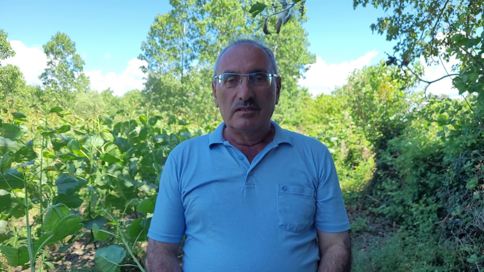 "Dron ile çeltik ilaçlaması" tartışması: "Mahsullerimiz yanıyor"