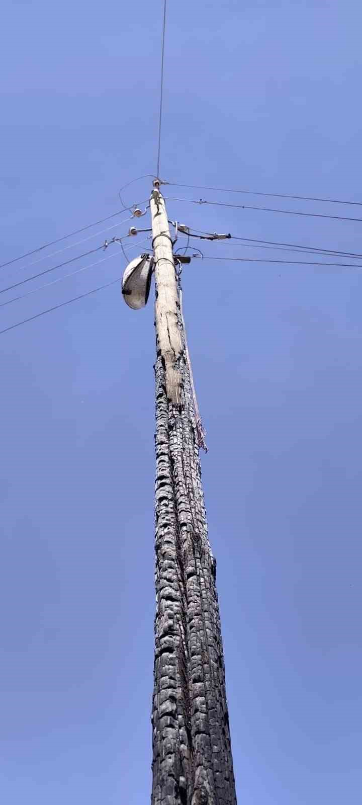Anız yangınları enerji altyapısını da tehdit ediyor