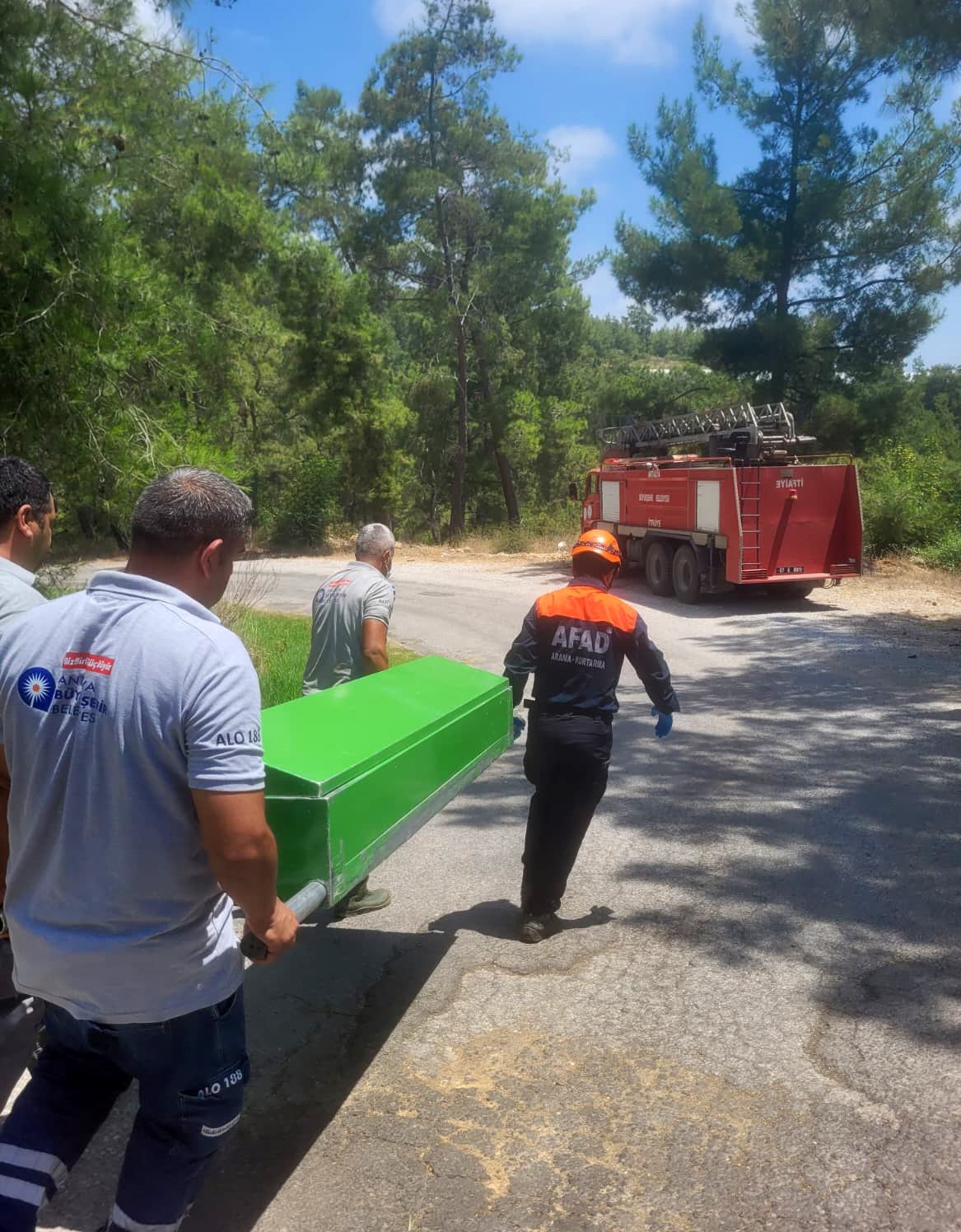 Alanya’da kamyonet ağaca çarptı: 1 ölü, 1 ağır yaralı