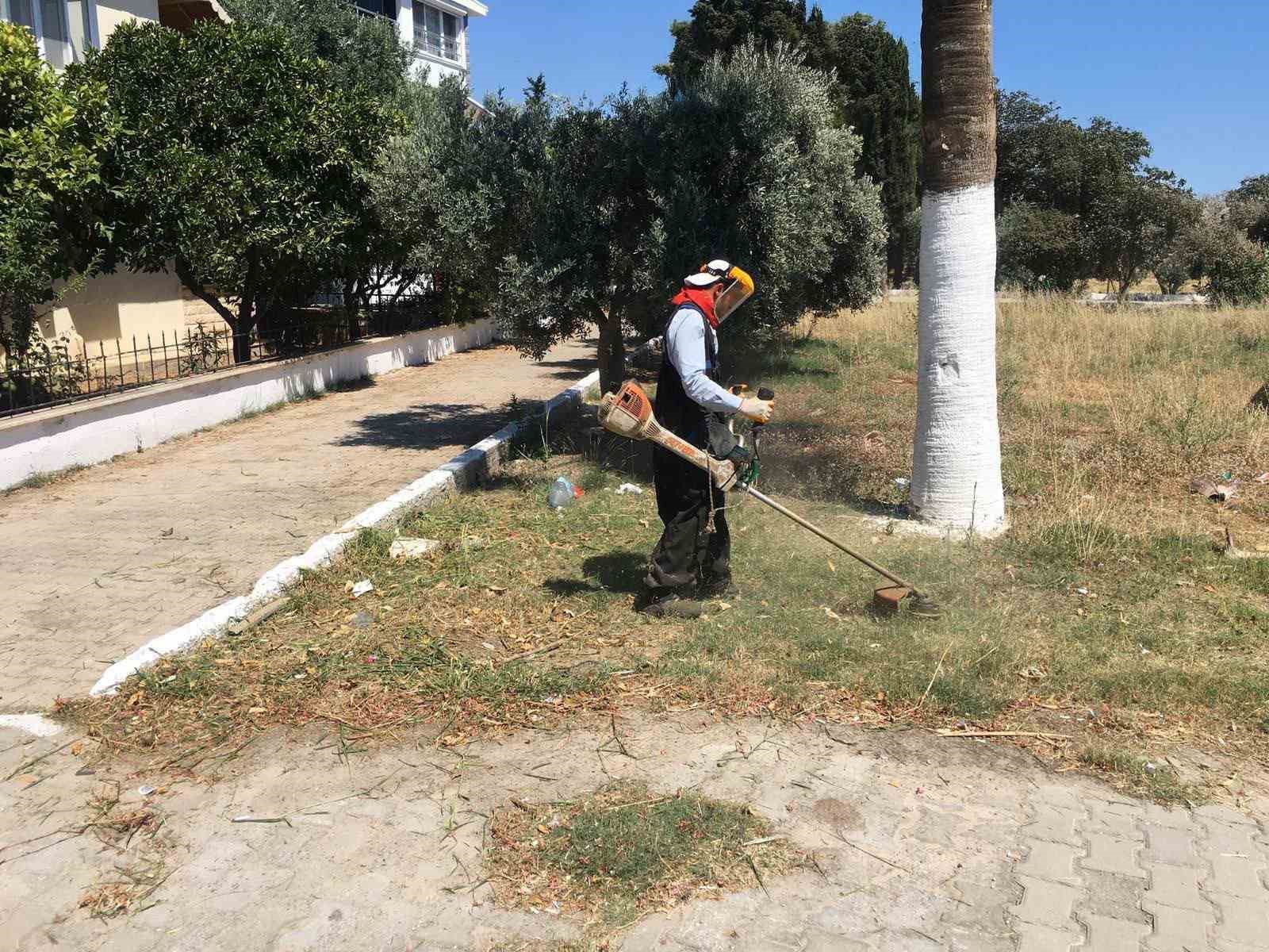 Didim Belediyesi’nin kendi üretimi çiçekler toprakla buluşuyor