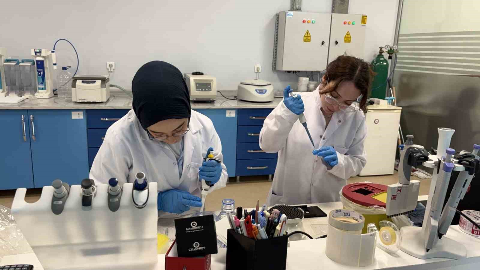 KBÜ’de biyolojik yaşı belirleyecek yerli test geliştiriliyor