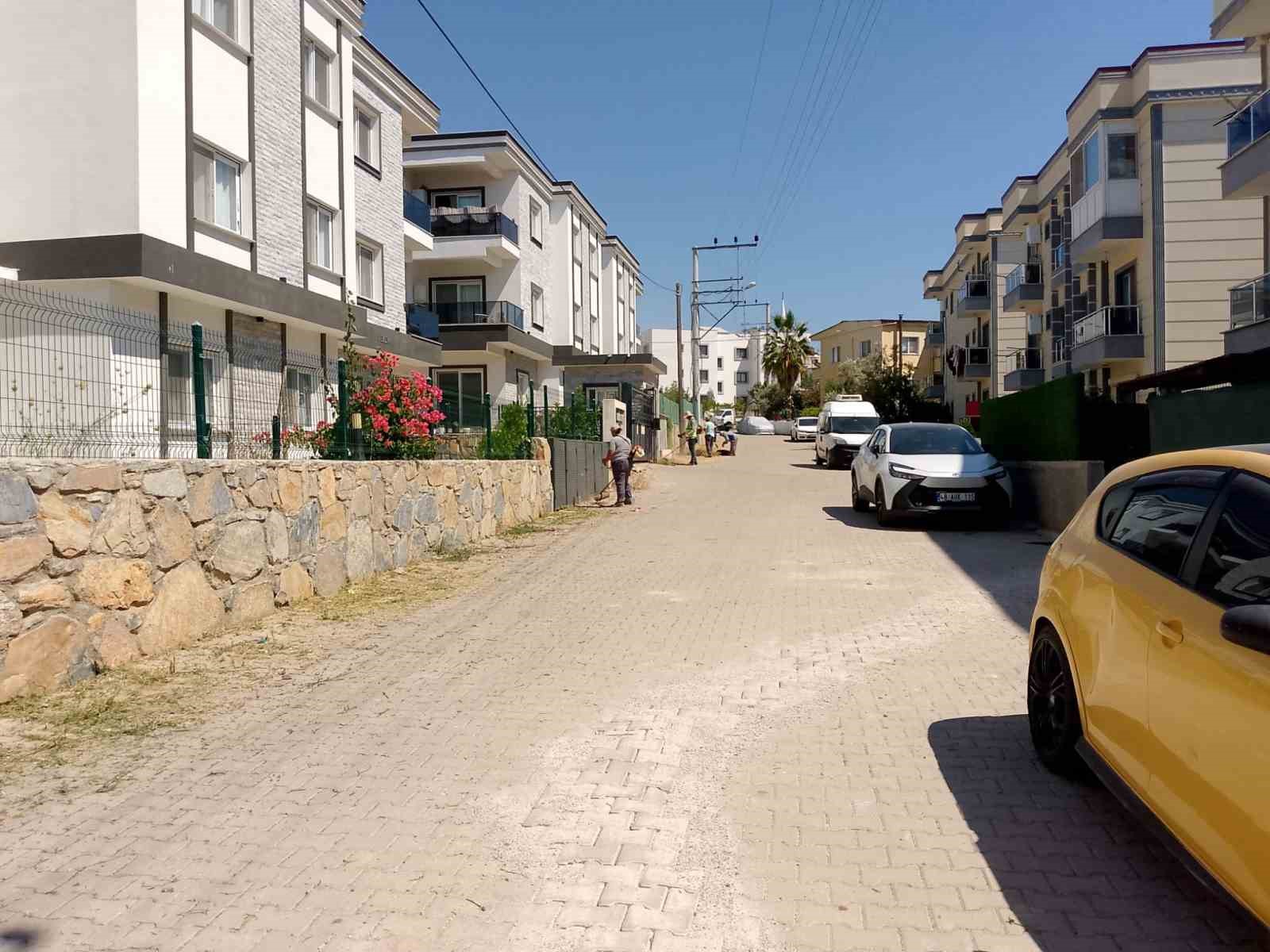 Bodrum’da ot temizliği çalışmaları Haziran ayı boyunca aralıksız sürdü