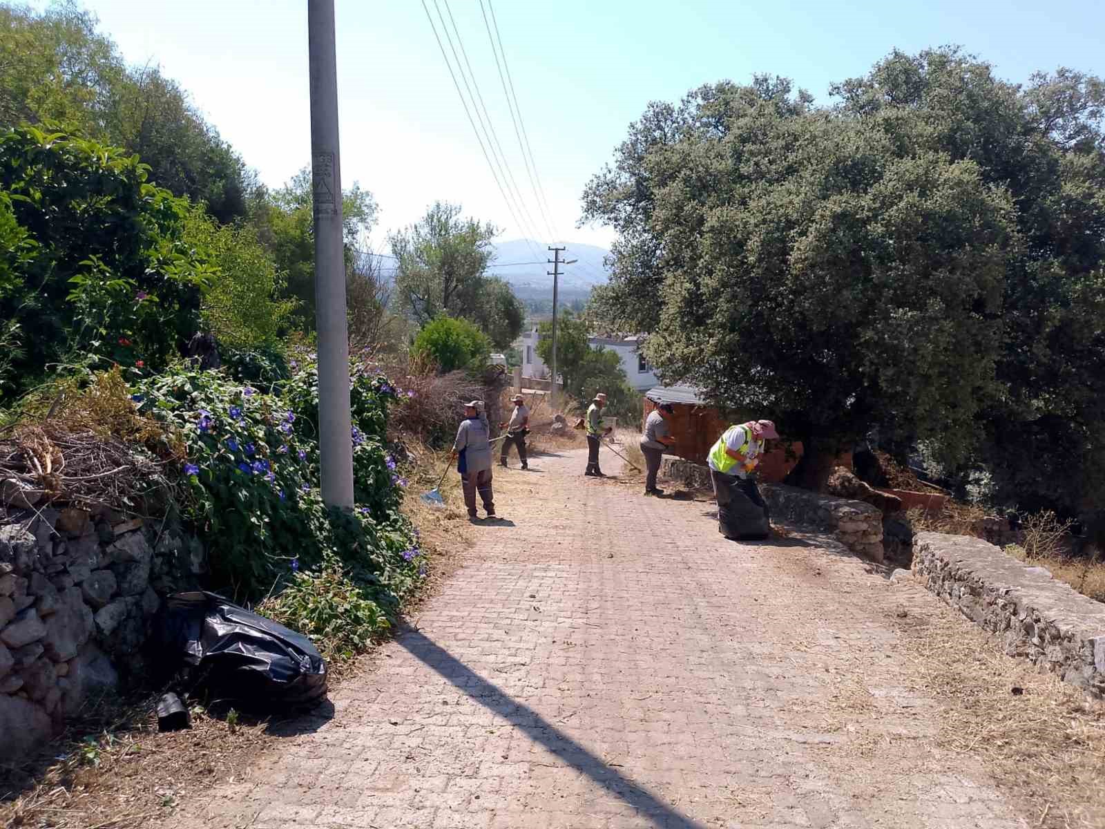 Bodrum’da ot temizliği çalışmaları Haziran ayı boyunca aralıksız sürdü