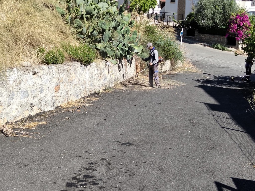 Bodrum’da ot temizliği çalışmaları Haziran ayı boyunca aralıksız sürdü