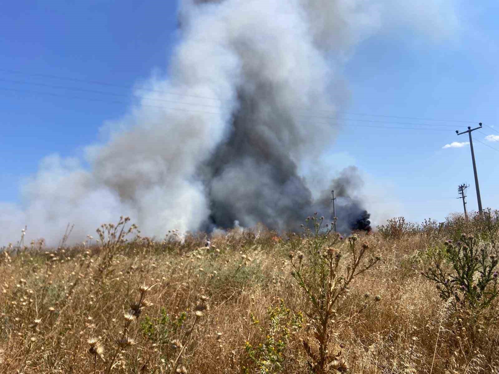 Bandırma’da otluk alanda çıkan yangın söndürüldü