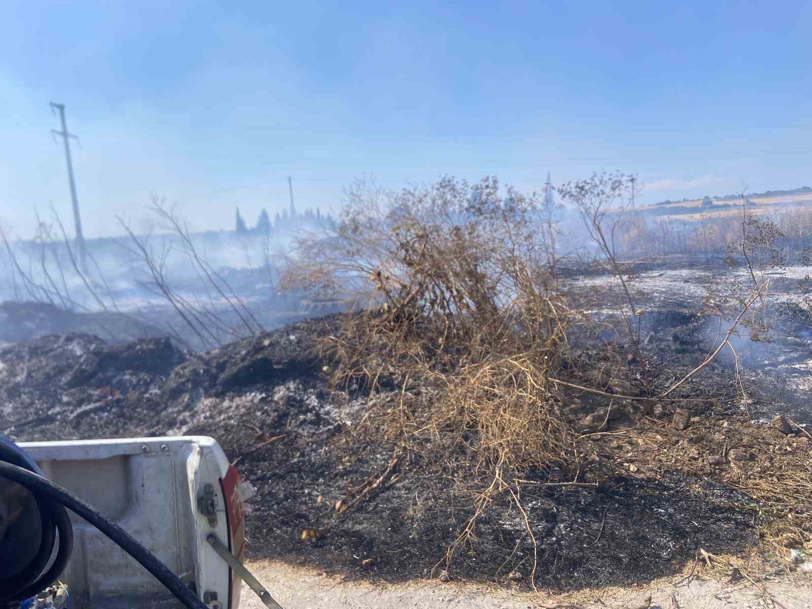 Bandırma’da otluk alanda çıkan yangın söndürüldü