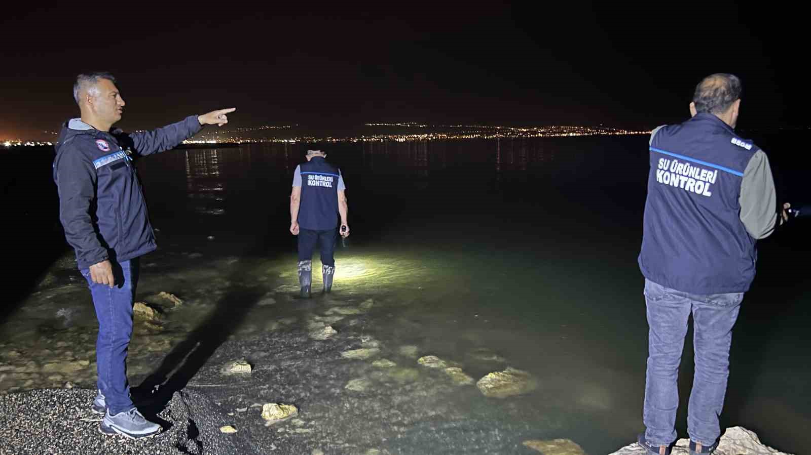 Milyonlarca inci kefali yavrusu Van Gölü’ne dönmeye başladı