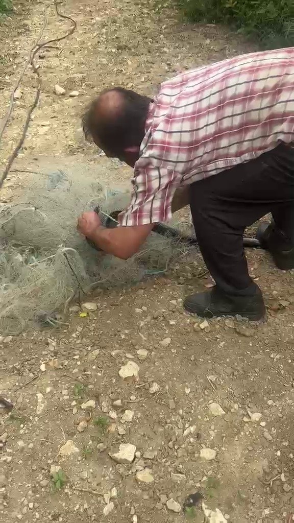 Balık ağında mahsur kılan yılanı elleriyle kurtardı
