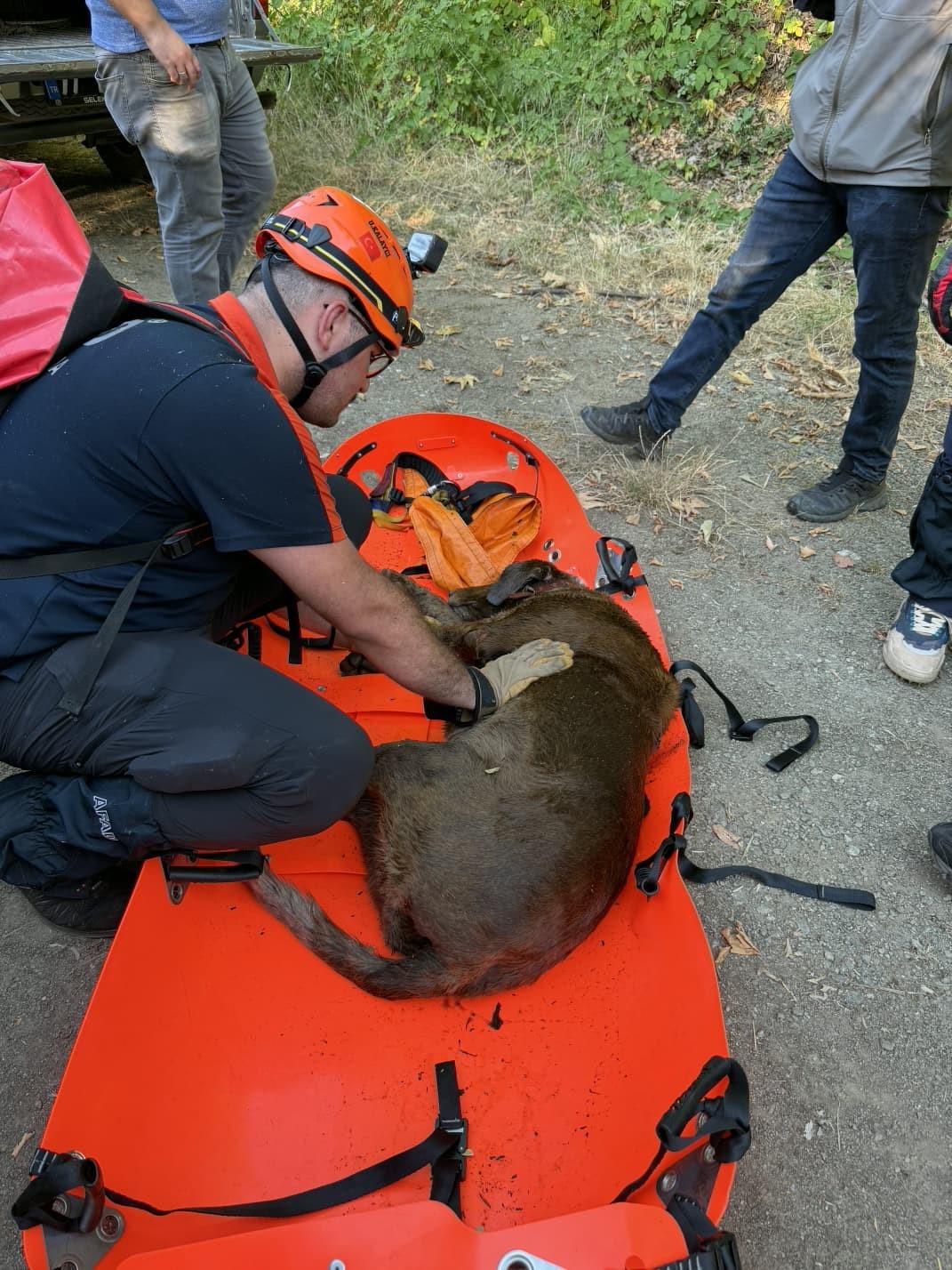 Yalova’da 3 gün su kuyusunda mahsur kalan köpek kurtarıldı