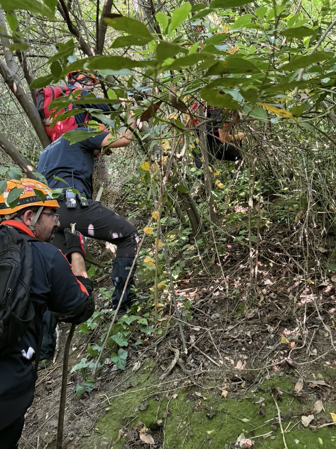 Yalova’da 3 gün su kuyusunda mahsur kalan köpek kurtarıldı