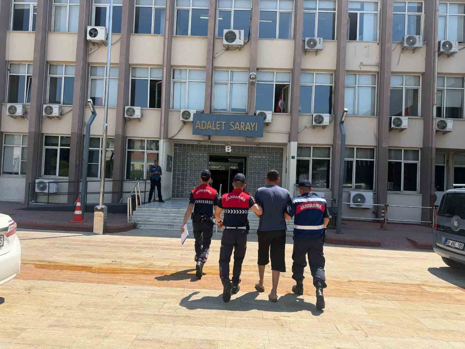 Koçarlı’da 15 koyun evin bahçesinden çalındı