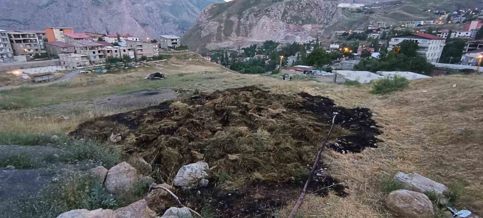 Hakkari’de ot yangını