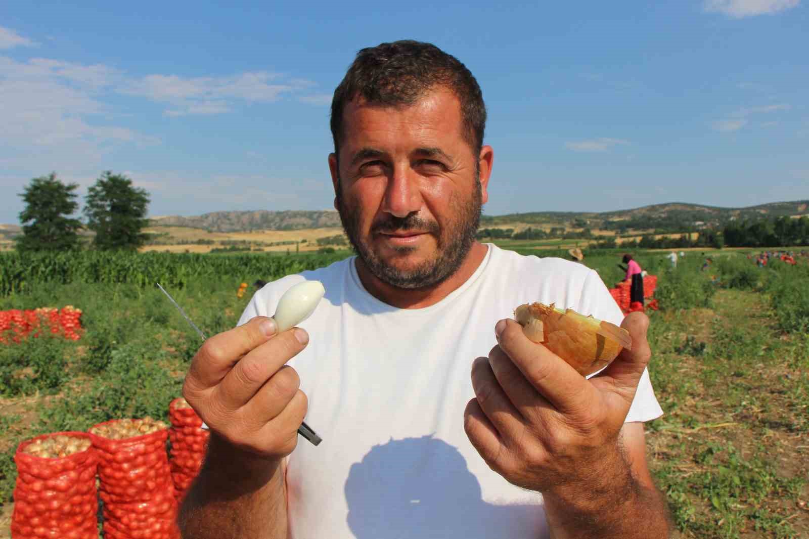Amasya’da soğan bir bardak çaydan bile ucuz