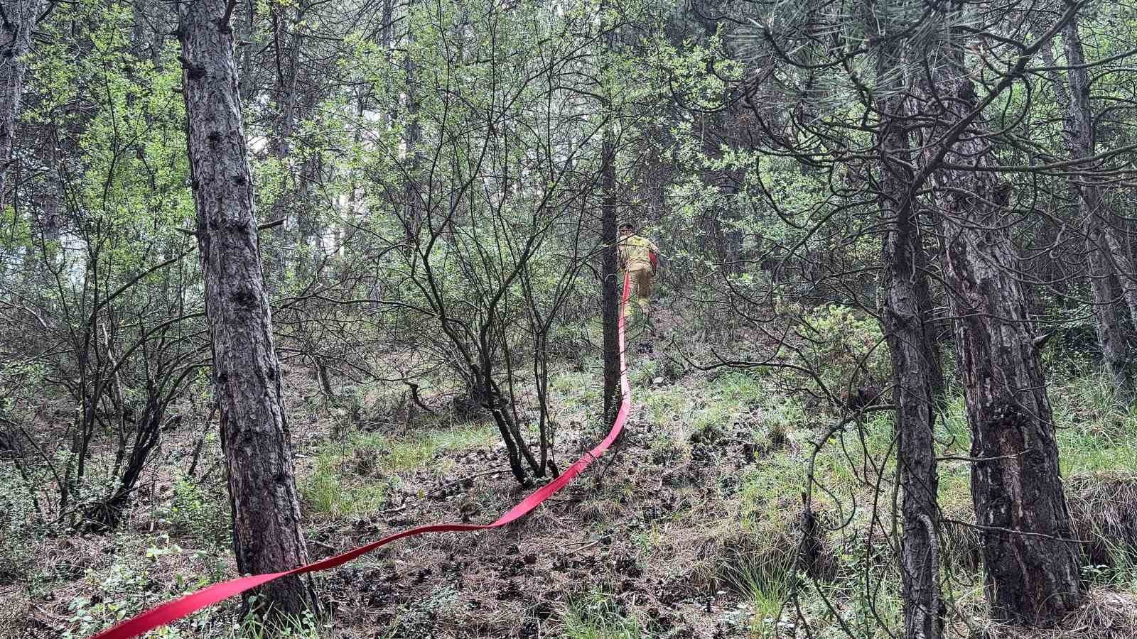 Kütahya’da ormanlık alanda çıkan yangın helikopter desteği ile söndürüldü