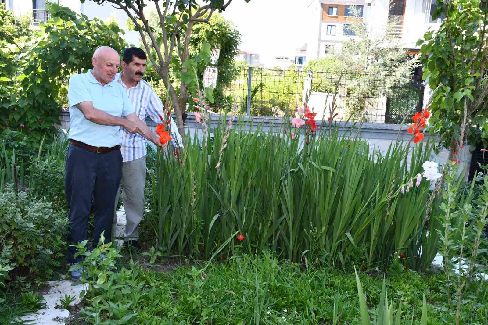 Emekliliğini renk renk çiçek bahçesine dönüştürdü