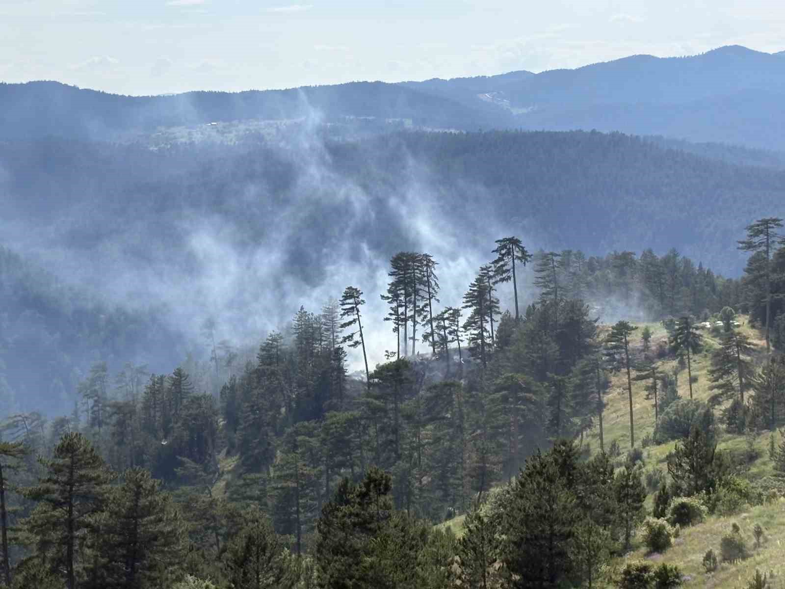 Kastamonu’da çıkan orman yangınında 7,5 dönüm alan zarar gördü