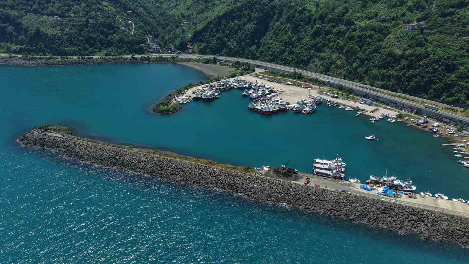 Balıkçıların yeni sezonda umudu palamut