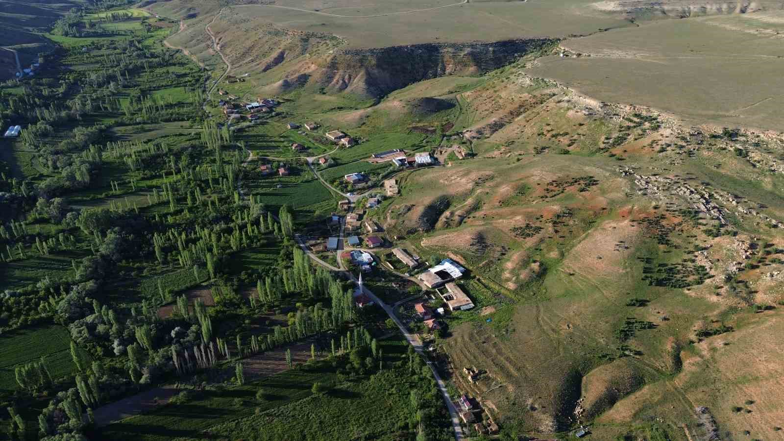 Bozkırın ortasında yemyeşil vadi: Buğdaylı köyü bereketli yılı yaşıyor