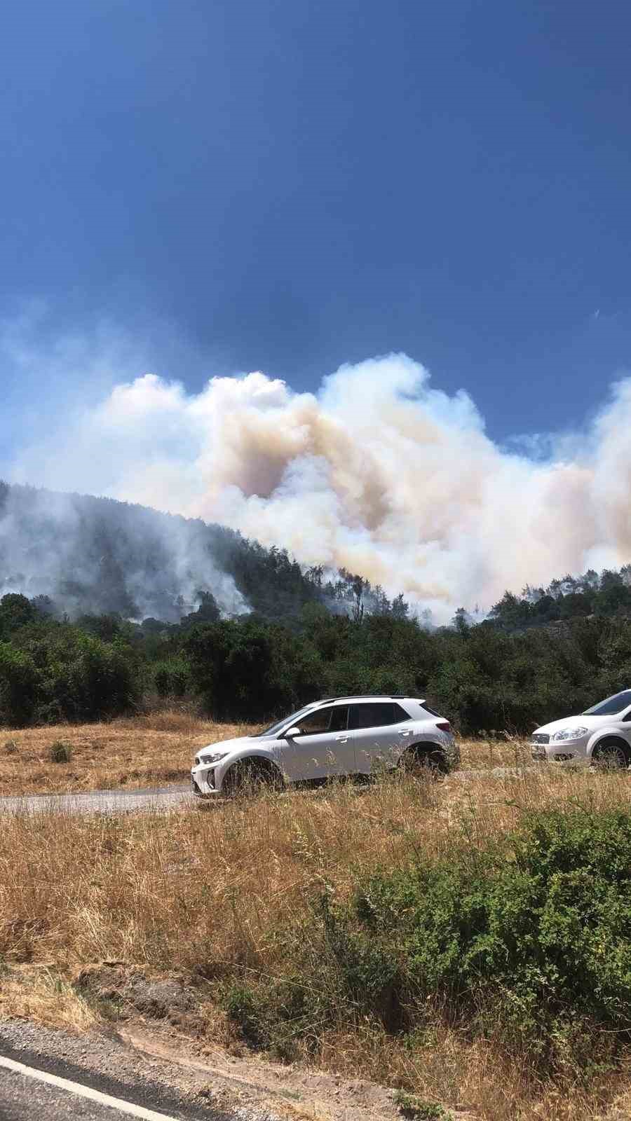 Balıkesir Kepsut’ta orman yangını