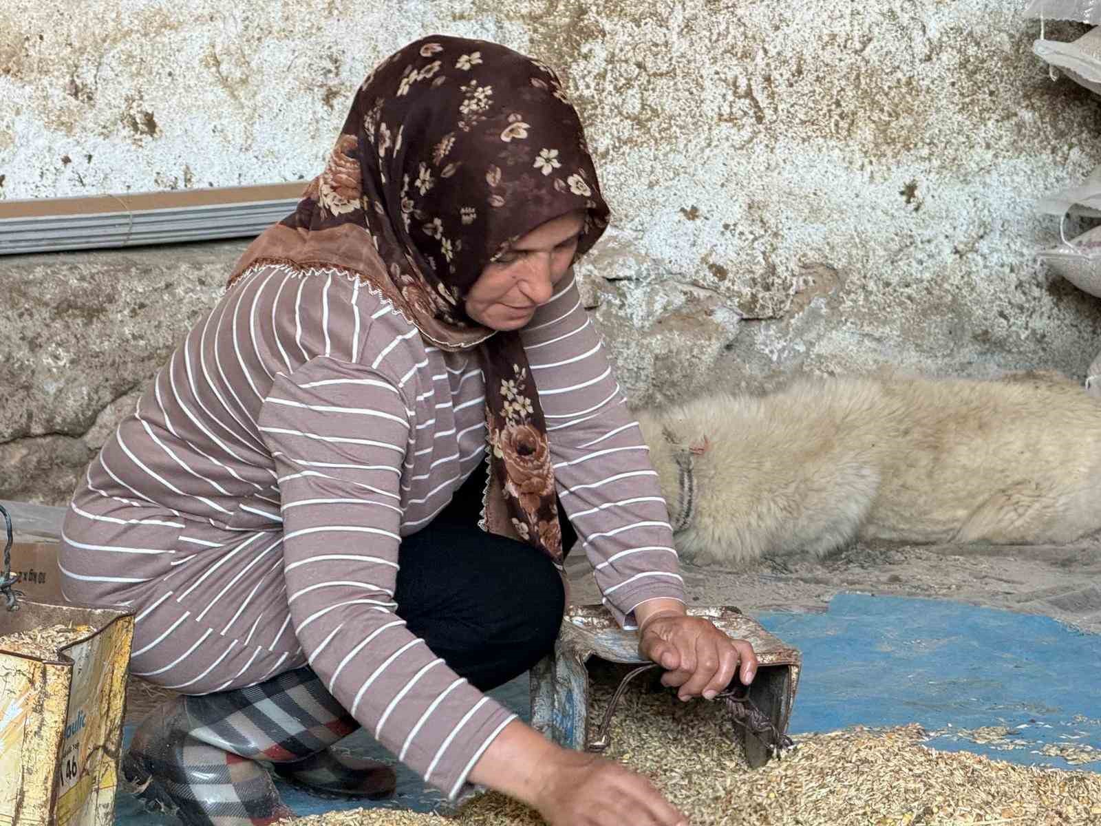 "Hayvanlara büyü yaptı" denilerek vahşice öldürülen adamın karısı tek başına çobanlık yaparak 2 oğlunu okutmaya çalışıyor