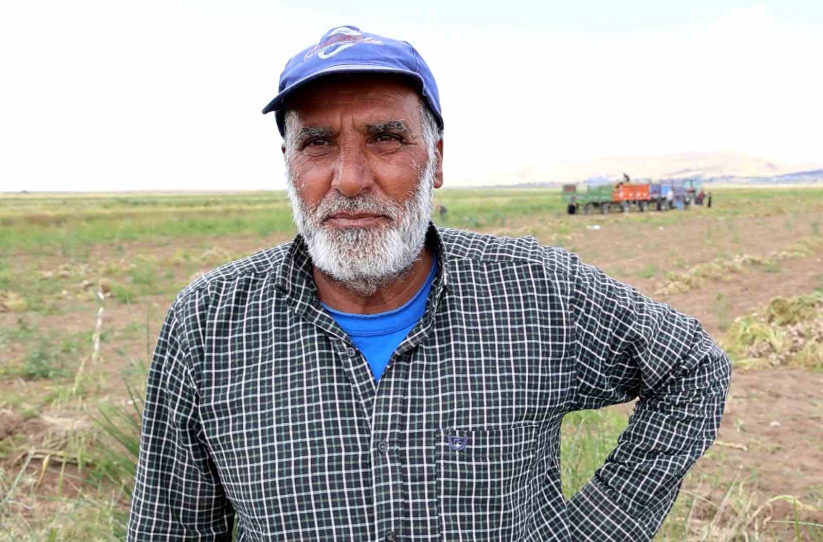 Sevdiğiyle evlenmek için tarlada başlık parasına çalışıyor