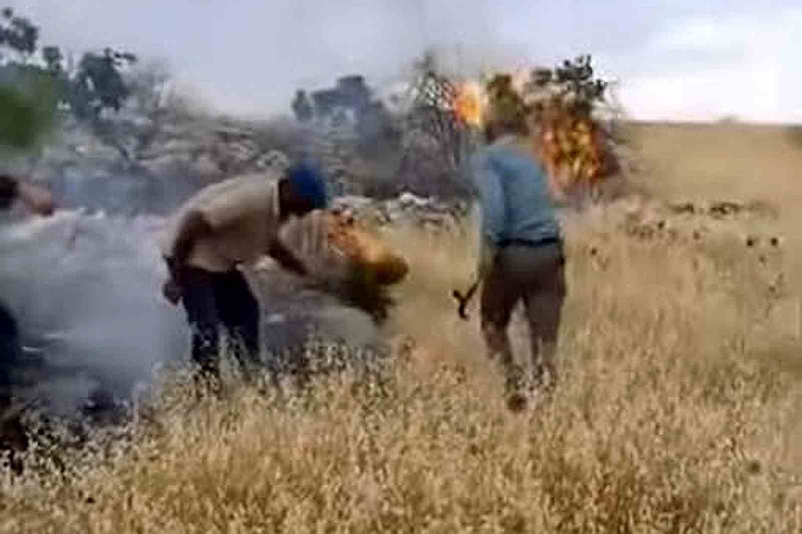 Araban’da fıstıklık ve otluk alanda yangın
