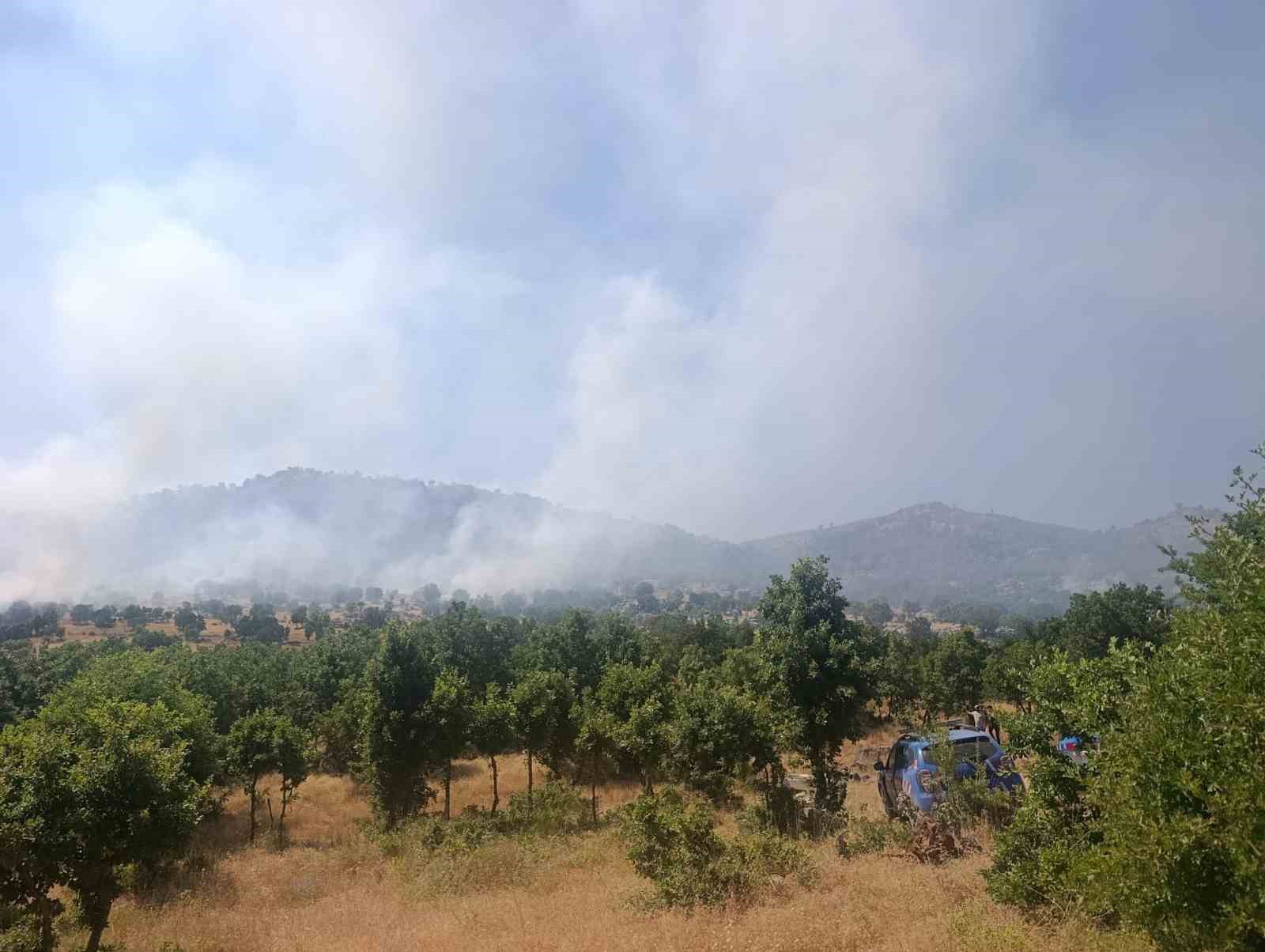 Diyarbakır’da ağaçlık alanda yangın: İtfaiye ve jandarmanın söndürme çalışmaları sürüyor