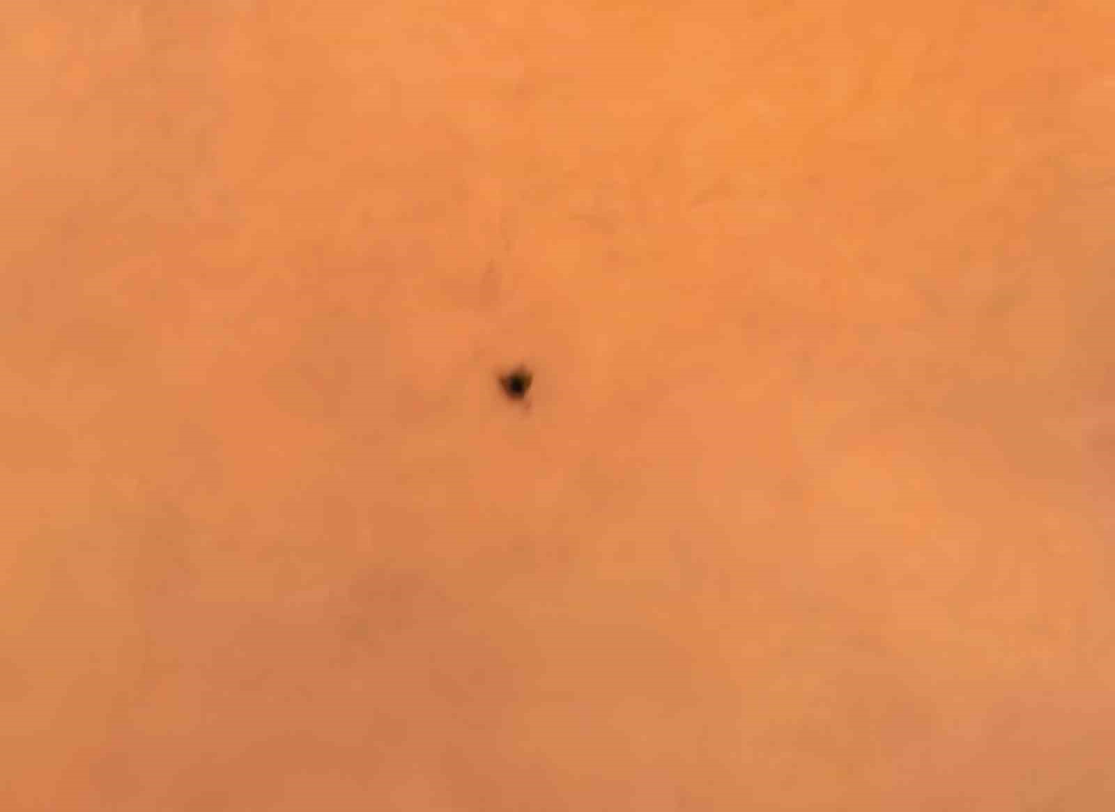 İnegöl’de kene alarmı