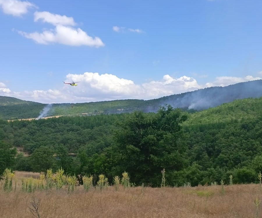 Kütahya’da ev yangını ormana sıçradı, 3 hektar alan zarar gördü
