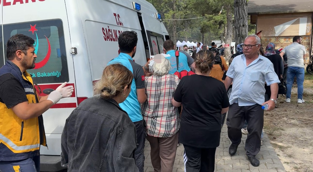 Şenlikte ağaçtan düşen dal yaşlı kadını yaraladı