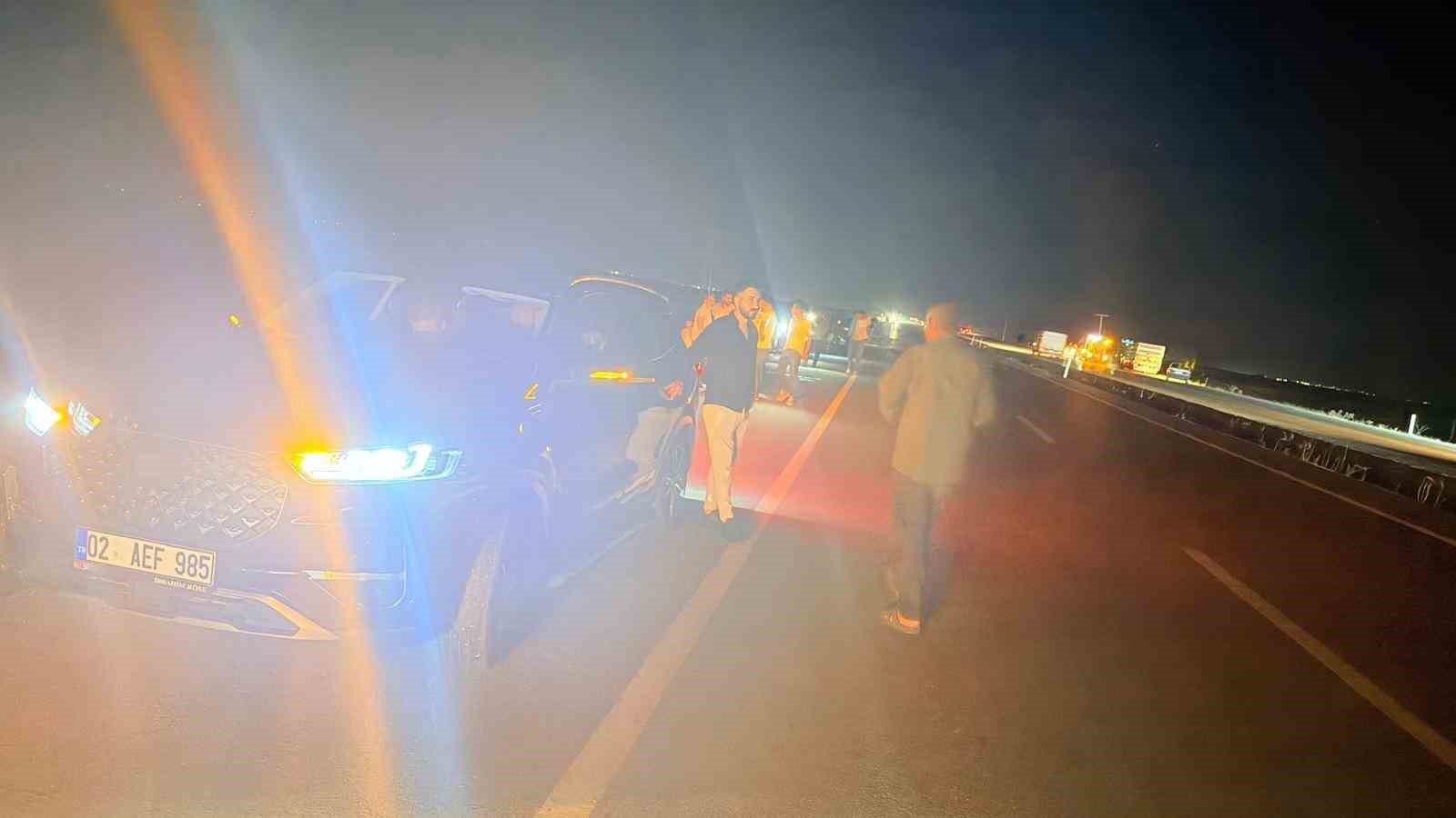 Otomobilin çarptığı sürüdeki 12 küçükbaş hayvan telef oldu