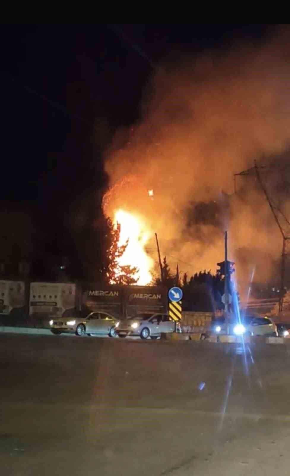 Yangında alevlerin arasında kalan kaplumbağayı polis ekipleri kurtardı