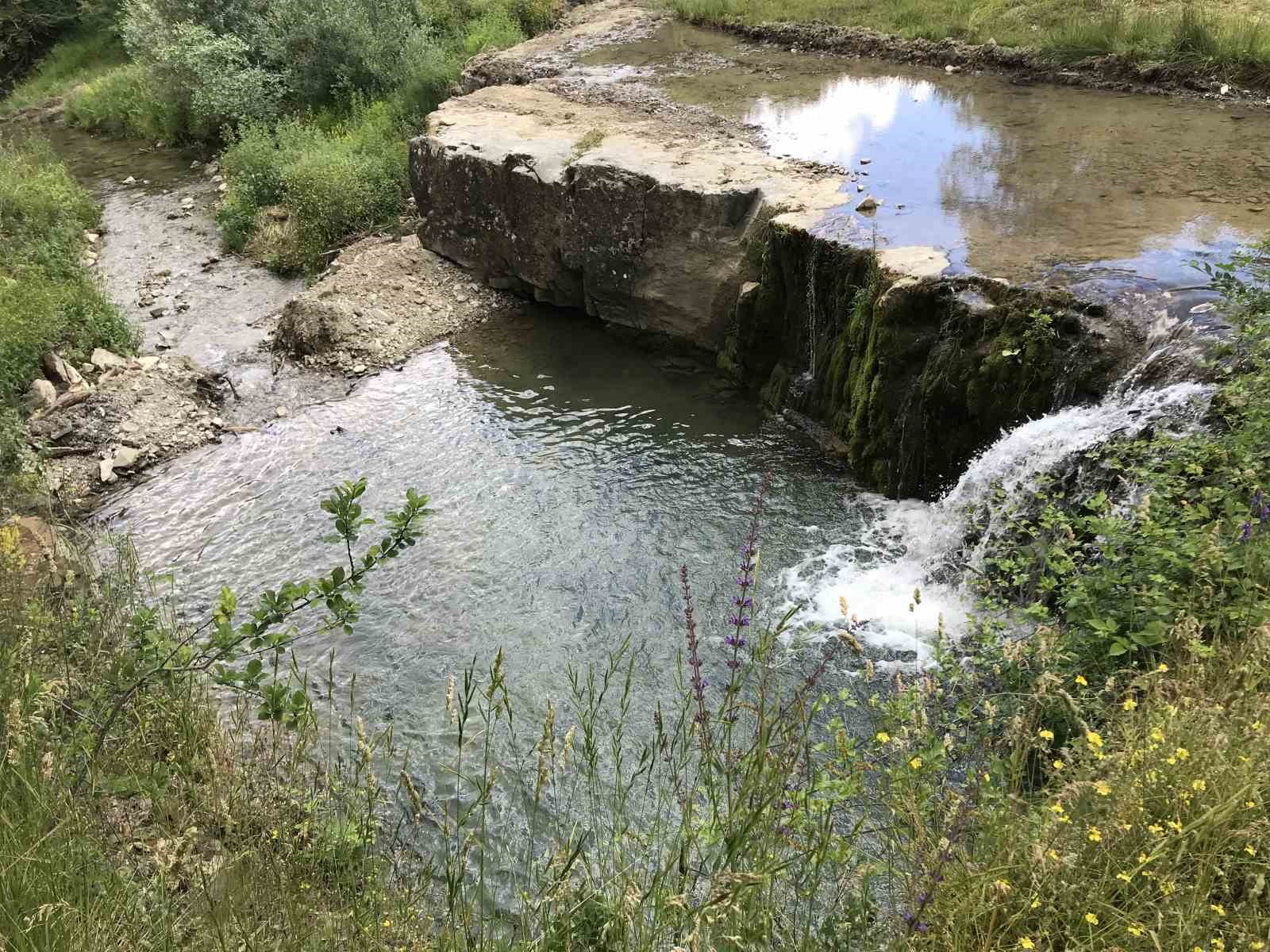 Mahallelinin ’şelale’ talebi