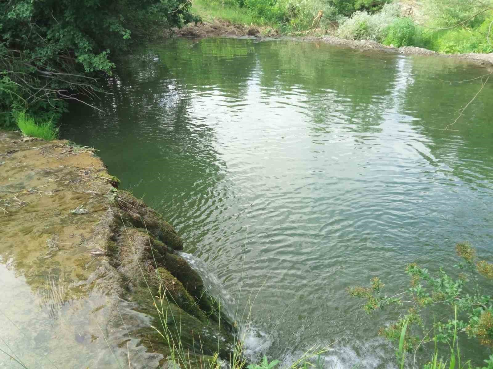 Mahallelinin ’şelale’ talebi