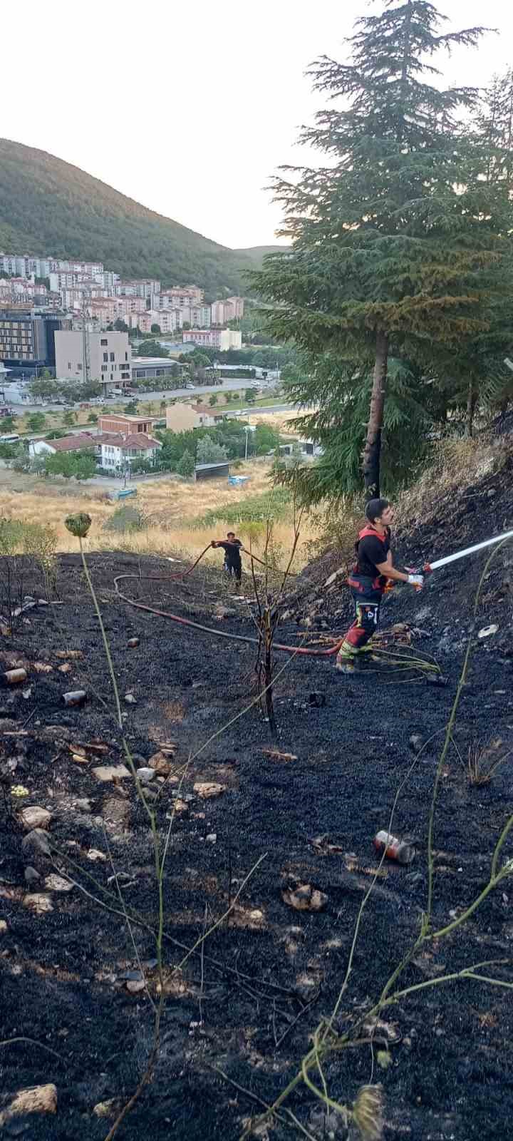 Balıkesir’de ot ve çöp yangını mahalleyi tehdit etti