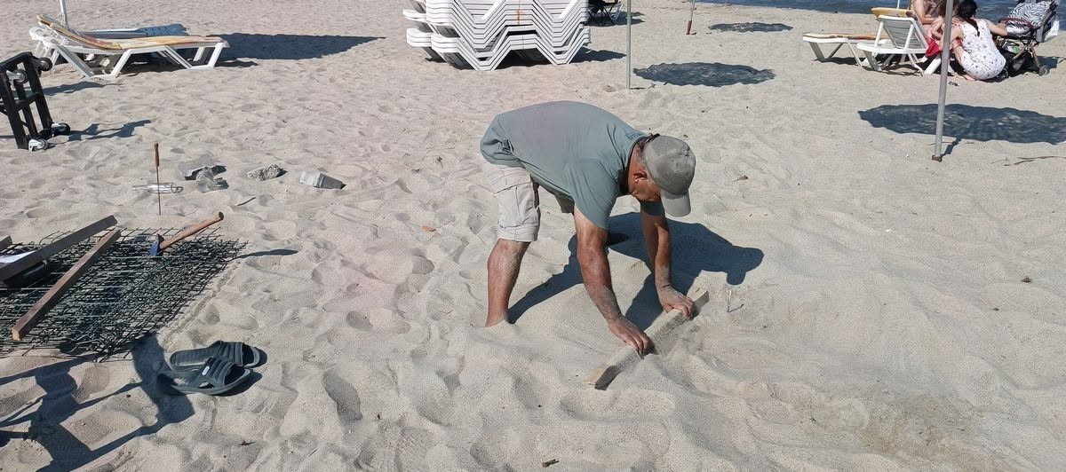 Kuşadası’nda caretta carettalardan umutlandıran yuva