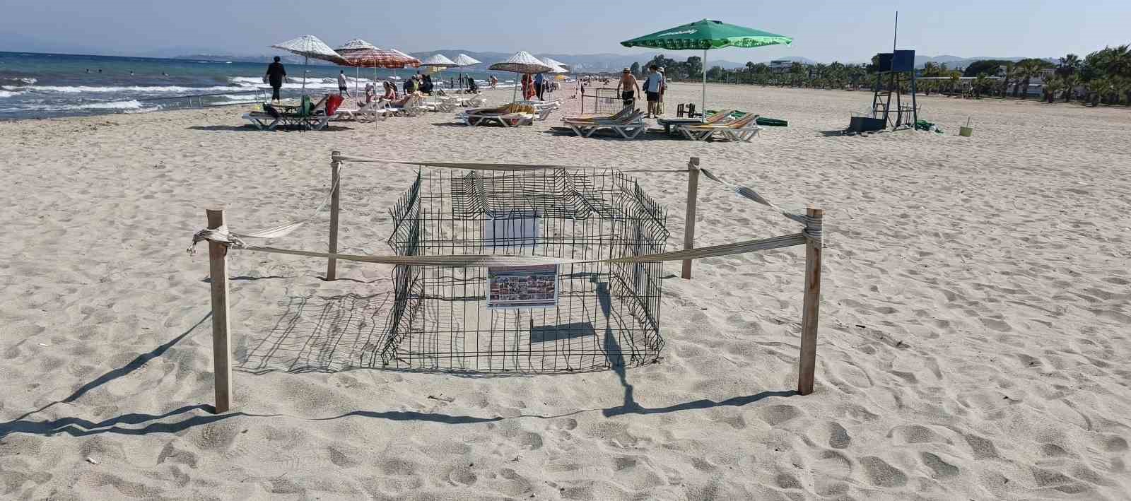Kuşadası’nda caretta carettalardan umutlandıran yuva