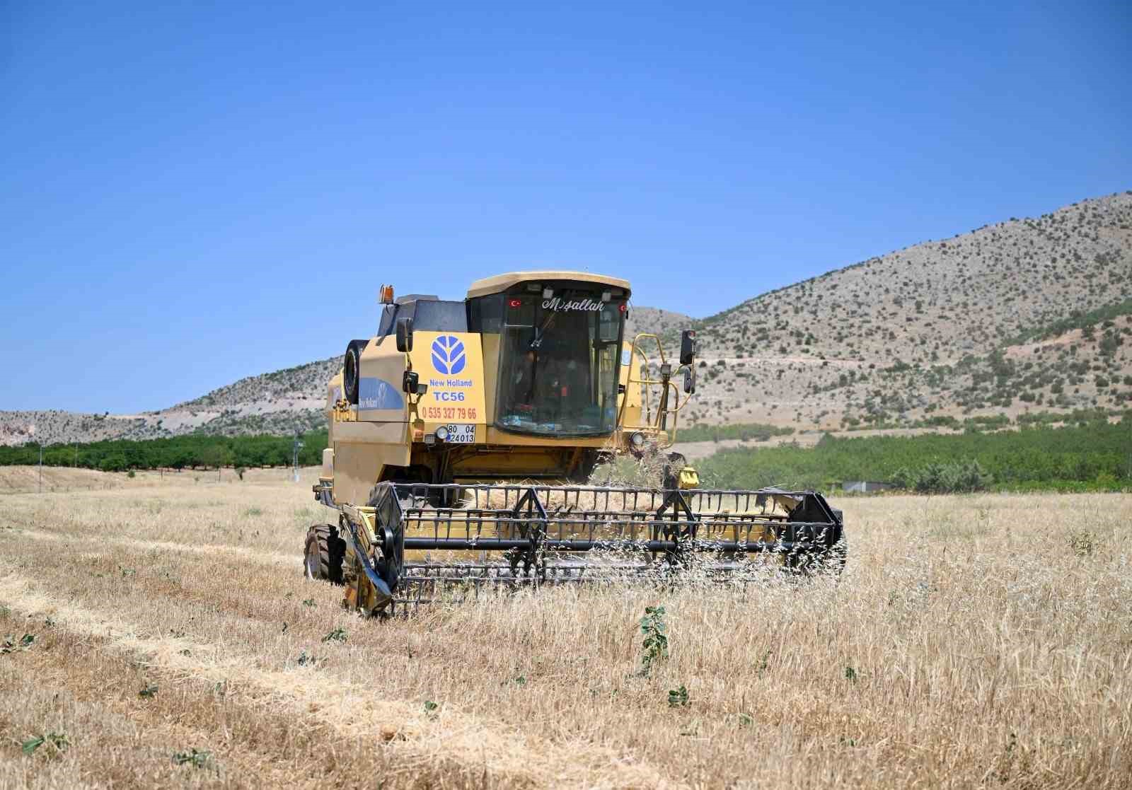 Başkan Geçit "Üreticilerimize ücretsiz arpa dağıtımı yapacağız"