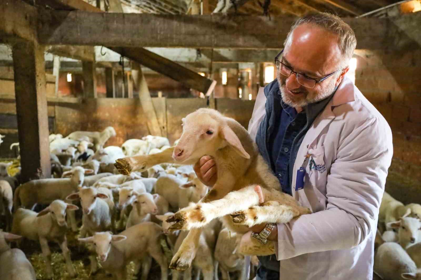 Kocaeli’de tarım ve hayvancılığa 7 yılda 1,5 milyar lirayı aşkın destek sağlandı