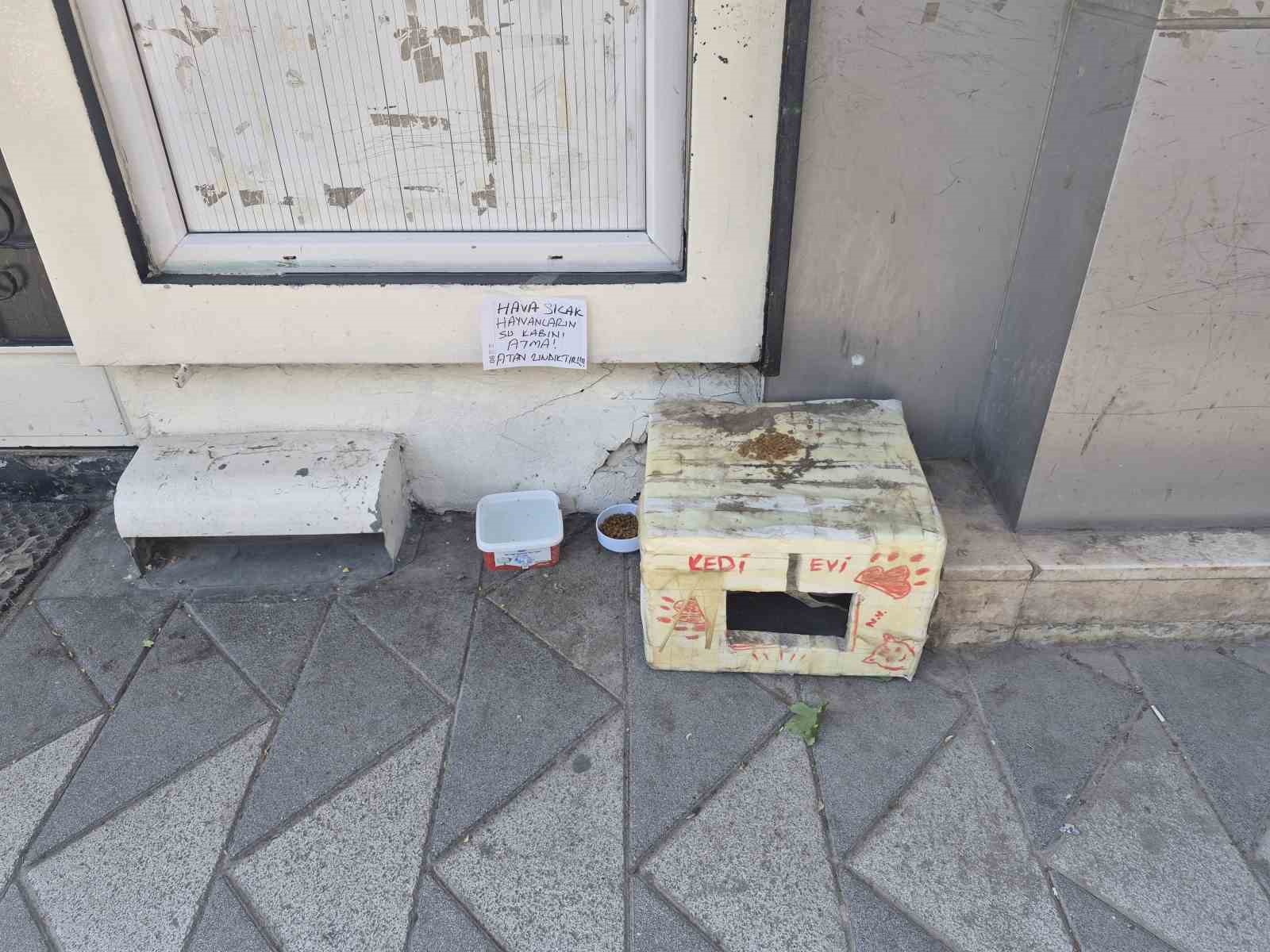 Sokak hayvanlarının su kabını atanlara ilginç tepki: "Atan zındıktır"