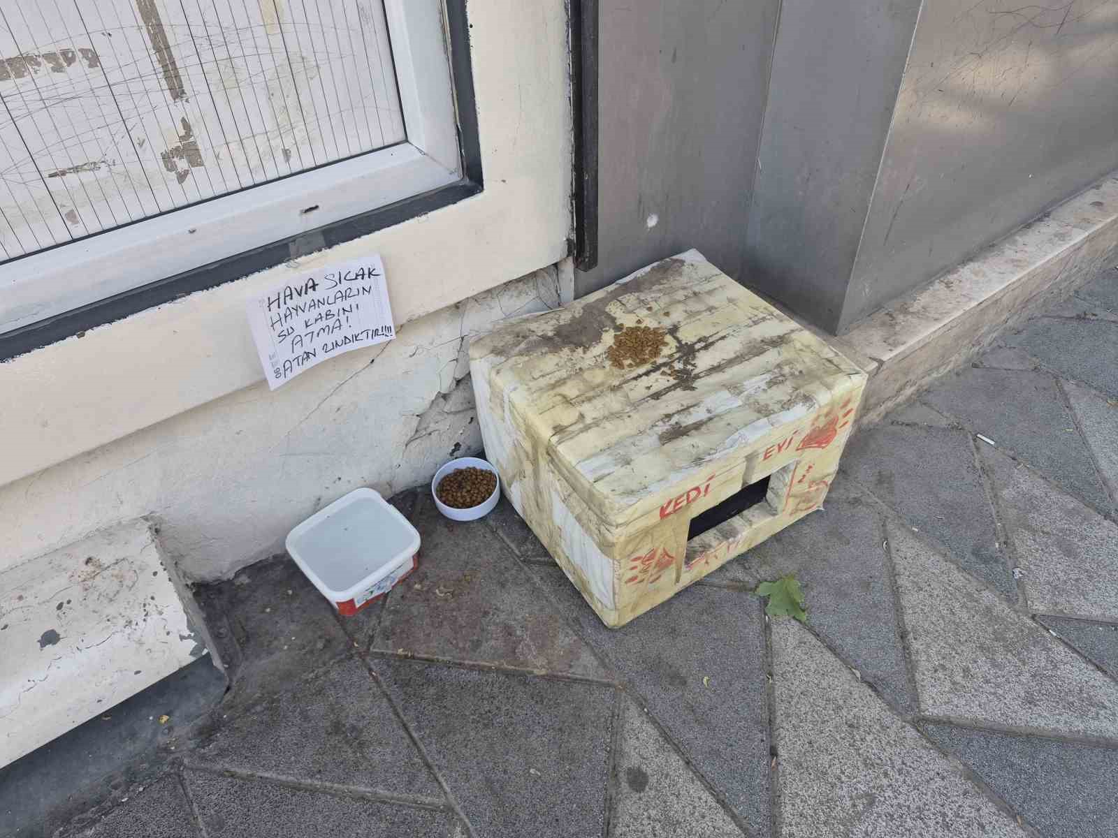 Sokak hayvanlarının su kabını atanlara ilginç tepki: "Atan zındıktır"