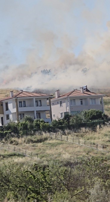 Alevler arasında kalan kaplumbağayı itfaiye ekipleri suyla serinletti