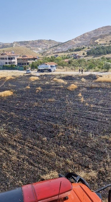 Alevler arasında kalan kaplumbağayı itfaiye ekipleri suyla serinletti