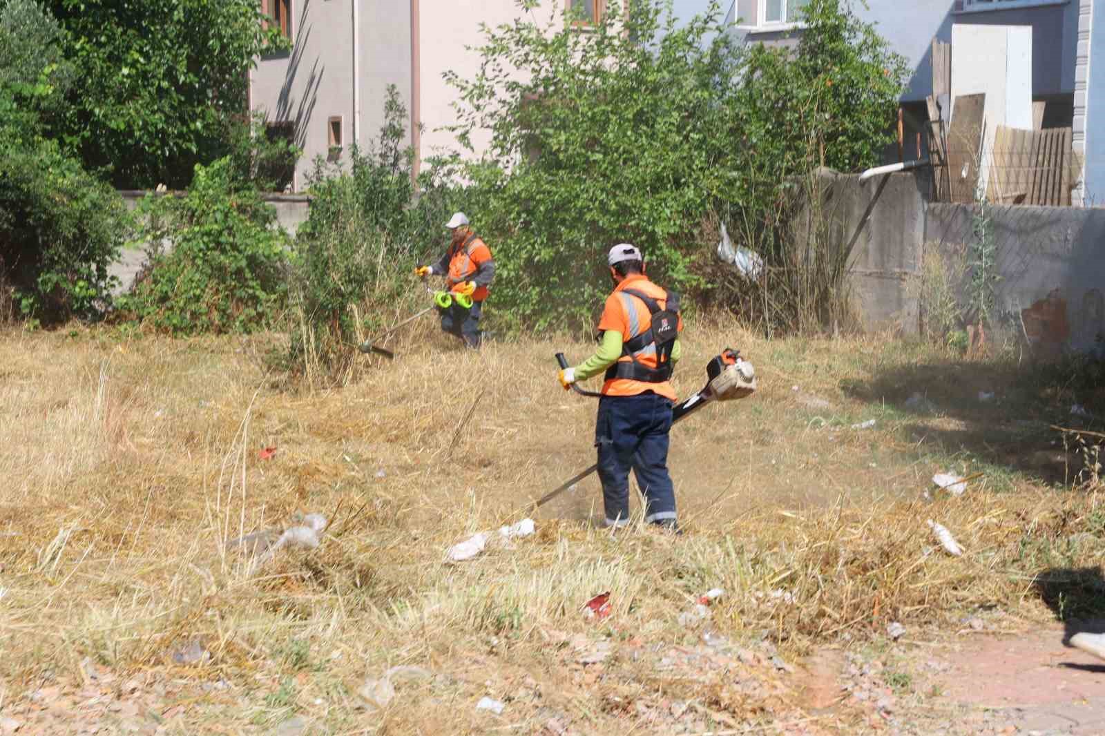 Darıca’da 6 müdürlüğün katılımıyla kapsamlı yaz temizliği sürüyor