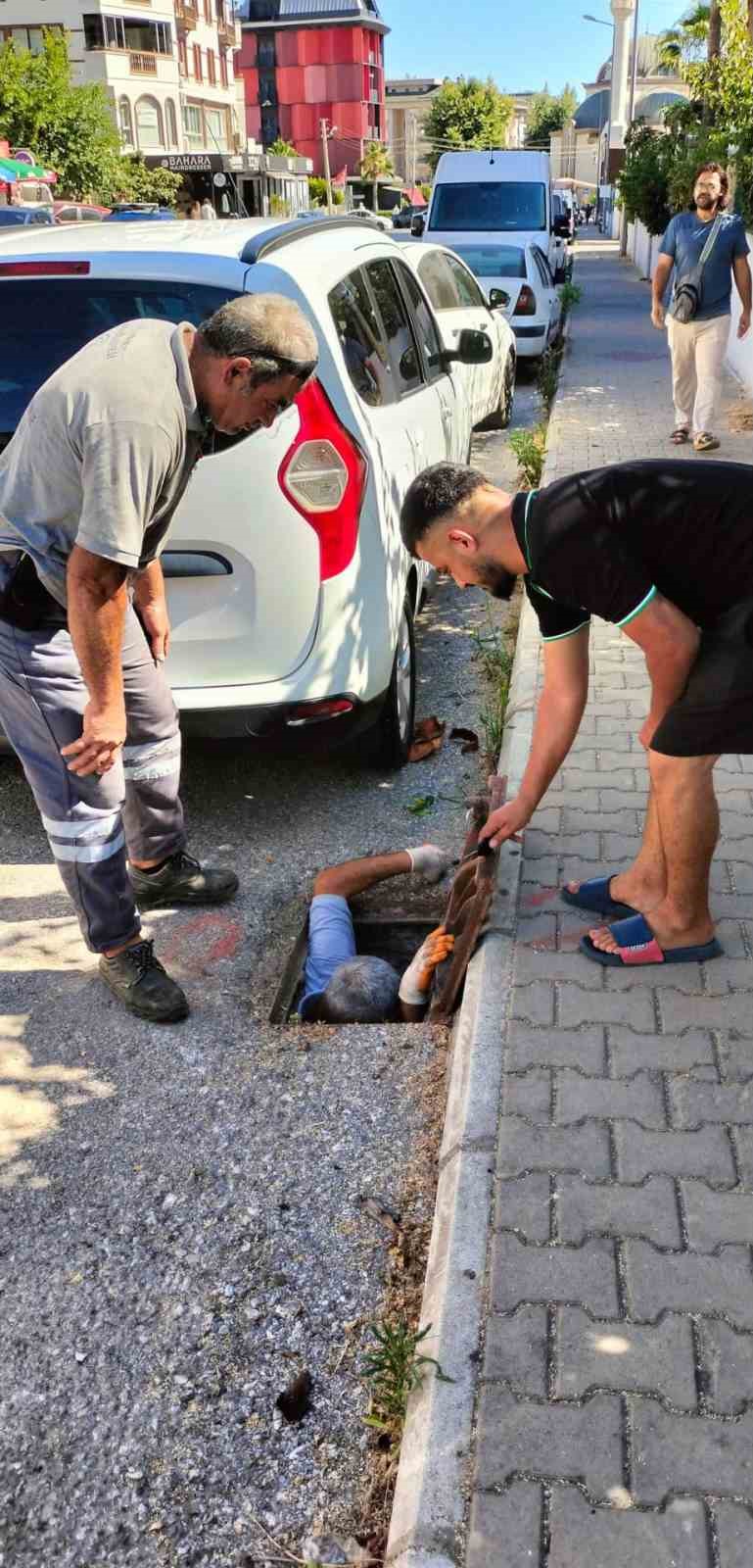 Kanalizasyona düşen kedi belediye ekiplerince kurtarıldı