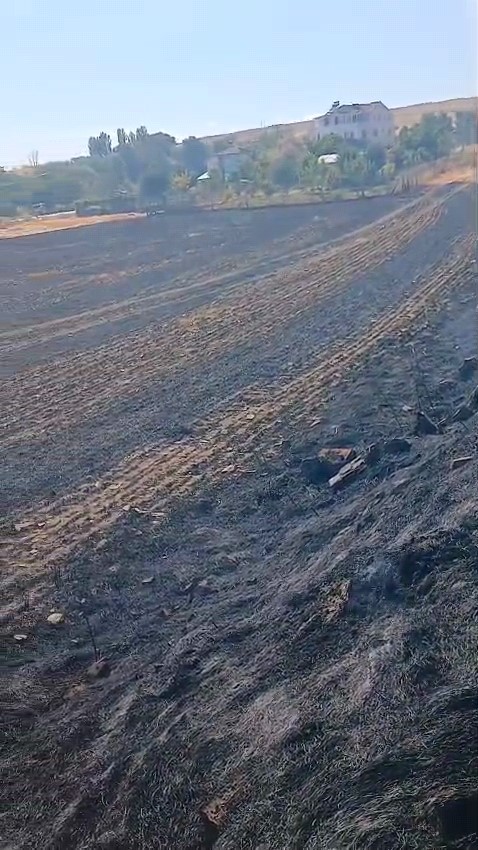Keskin Mahallesi’ndeki ot yangını büyümeden söndürüldü