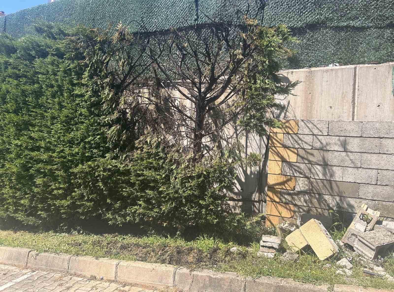 Ümraniye’de sıcakta kopan yüksek gerilim hattı paniğe neden oldu: "Çok üzgünüz, altında çocuklar olabilirdi"