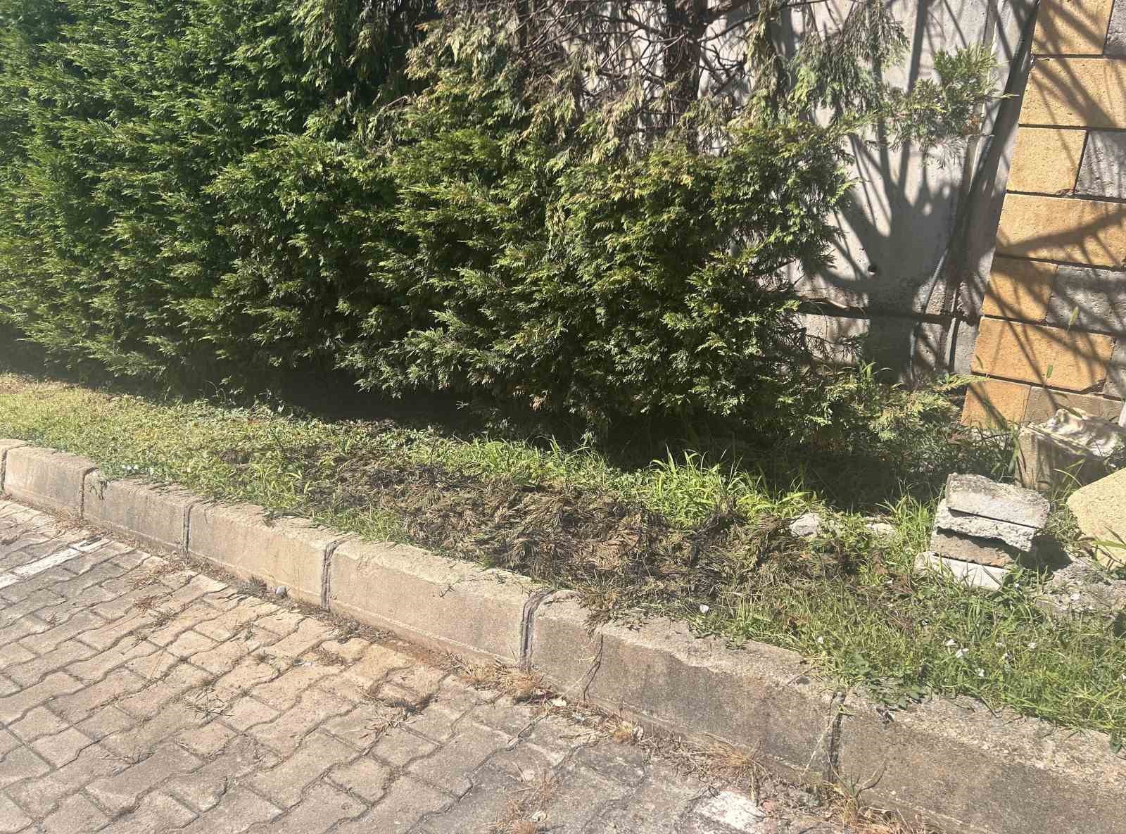 Ümraniye’de sıcakta kopan yüksek gerilim hattı paniğe neden oldu: "Çok üzgünüz, altında çocuklar olabilirdi"